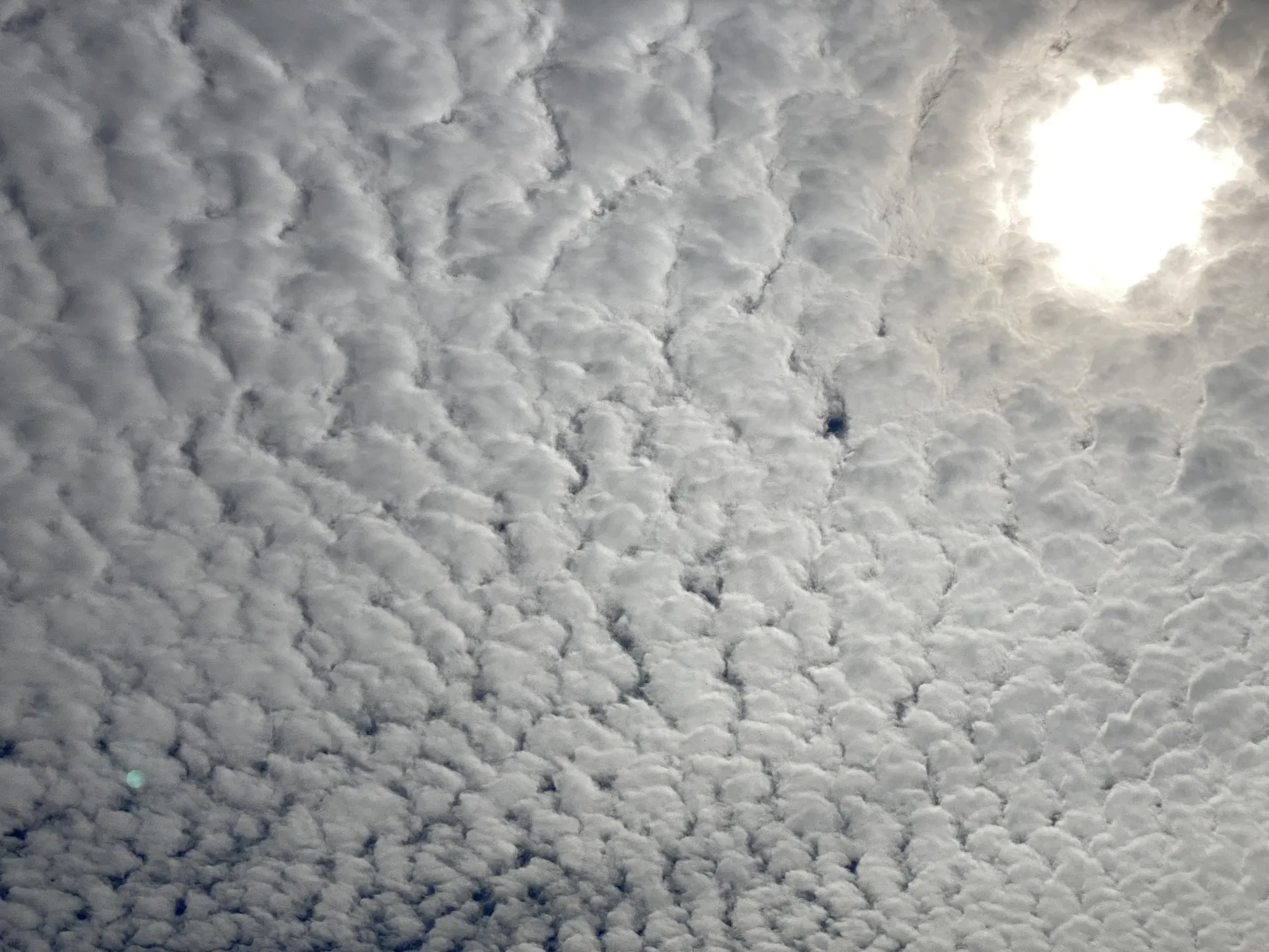 Ciel paisible au-dessus de Montolieu